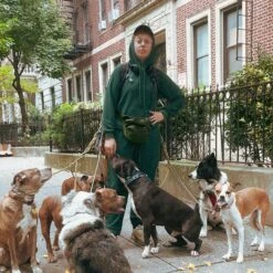 Inside Out French Terry Hoodie - Phantom Pine(Inside Out French Terry Hoodie Phantom Pine) -Tomboyx Underwear Store Phantom Pine Inside Out French Terry HoodieUGC2