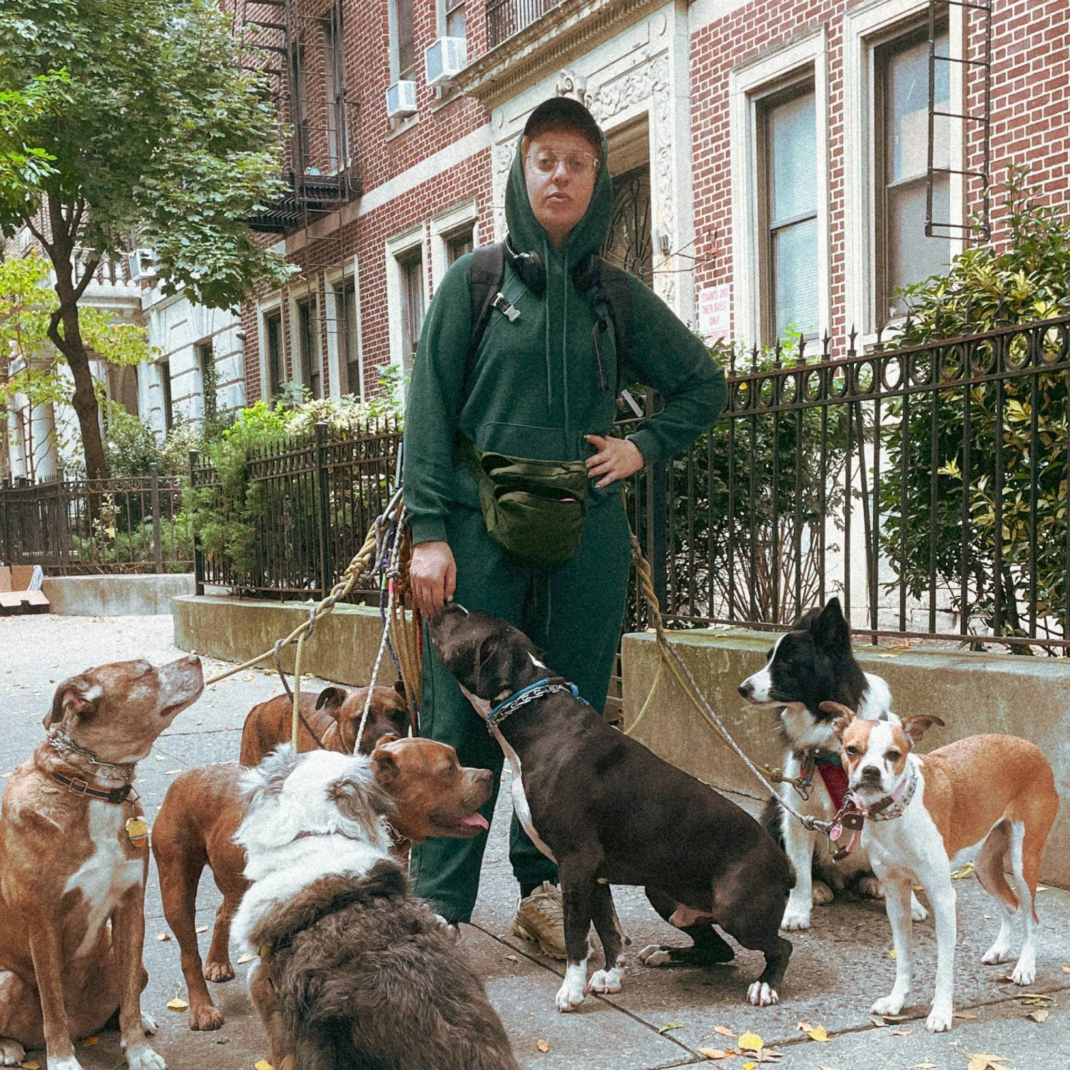 Inside Out French Terry Jogger - Phantom Pine(Inside Out French Terry Jogger Phantom Pine) 4 Inside Out French Terry Jogger - Phantom Pine(Inside Out French Terry Jogger Phantom Pine) - Image 4