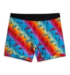 6" No Fly Boxer Briefs - Pride Rainbow Dragon(6 No Fly Boxer Briefs Pride Rainbow Dragon) 8 6" No Fly Boxer Briefs - Pride Rainbow Dragon(6 No Fly Boxer Briefs Pride Rainbow Dragon) -Tomboyx Underwear Store Pride Rainbow Dragon 6in No Fly Boxer Briefs 1