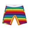 9" Boxer Briefs - Rainbow Pride Stripes(9 Boxer Briefs Rainbow Pride Stripes)