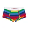 Boy Shorts - Rainbow Pride Stripes(Boy Shorts Rainbow Pride Stripes)