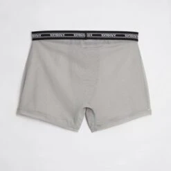 Powermesh 4.5" Trunks - Ultimate Gray(Powermesh 4 5 Trunks Ultimate Gray) -Tomboyx Underwear Store Ultimate Gray Powermesh 4.5in Trunks 2 adcaefda 20b9 48d9 bac2 82c24e87a483
